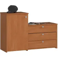 Akord Klassieke Schoenkast met Commode S16, 3 Kanteldeuren - Elzenhout, 13 Paar Capaciteit, Zelfmontage