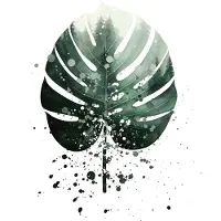 Consalnet Vliesbehang Monstera XL - Tropical Groot Blad - 184 x 254 cm – groen