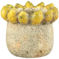 Ptmd pot fruitsy - 21x21x18cm