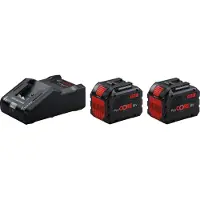 Bosch Startertset: 2x ProCORE 18V / 1600A016GU accu's + snellader (18 V, 12 Ah, origineel)