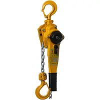 Delta Hijswerktuigen Delta Yellow DY.0.0541501.5 Rateltakel - 1.5 Ton – Met 1.5 Meter Hijshoogte