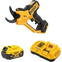 DeWalt Accuboormachine/snoeischarenset 38mm DCMPP568P1 van