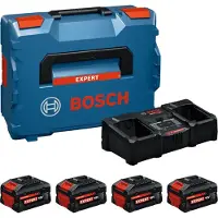 Bosch 1600a0373y Oplader En Batterij