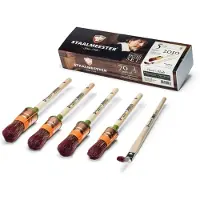 Staalmeester kwasten 2010 Boxset - 5-delig