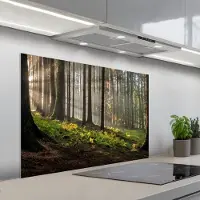 KitchenYeah Spatscherm 100x65 cm - Zelfklevende achterwand Zon - Takken - Bomen - Bos - Natuur - Keuken muurbeschermer - Spatwand fornuis