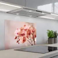 KitchenYeah Spatscherm 70x55 cm - Zelfklevende achterwand Orchidee - Bloemen - Roze - Bloemblaadjes - Keuken muurbeschermer - Spatwand fornuis