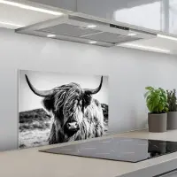 KitchenYeah Spatscherm 60x40 cm - Zelfklevende achterwand Schotse hooglander - Natuur - Koe - Zwart - Wit - Keuken muurbeschermer - Spatwand fornuis