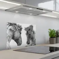 KitchenYeah Spatscherm 60x45 cm - Zelfklevende achterwand Paard - Zwart-Wit - Dieren - Keuken muurbeschermer - Spatwand fornuis