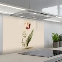 KitchenYeah Spatscherm 80x55 cm - Zelfklevende achterwand Tulp - Minimalistisch - Beige - Keuken muurbeschermer - Spatwand fornuis