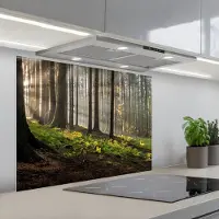 KitchenYeah Spatscherm 80x60 cm - Zelfklevende achterwand Zon - Takken - Bomen - Bos - Natuur - Keuken muurbeschermer - Spatwand fornuis
