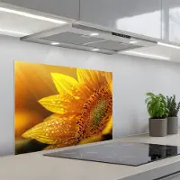 KitchenYeah Spatscherm 70x50 cm - Zelfklevende achterwand Zonnebloem - Dauwdruppels - Geel - Zonlicht - Keuken muurbeschermer - Spatwand fornuis