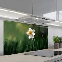 KitchenYeah Spatscherm 120x60 cm - Zelfklevende achterwand Narcis - Bloem - Wit - Grassprieten - Keuken muurbeschermer - Spatwand fornuis