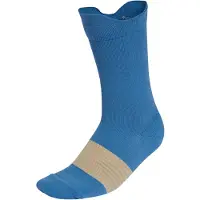 Adidas Sportsokken 'Runxgraphic 1 Pair' sand / blauw