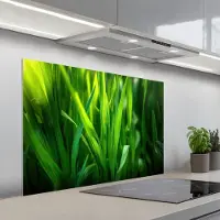 KitchenYeah Spatscherm 100x65 cm - Zelfklevende achterwand Grassprieten - Lichtinval - Groen - Keuken muurbeschermer - Spatwand fornuis