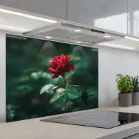 KitchenYeah Spatscherm 80x55 cm - Zelfklevende achterwand Roos - Bladeren - Dieprood - Keuken muurbeschermer - Spatwand fornuis