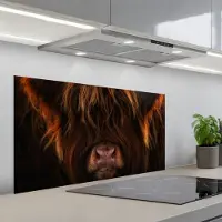 KitchenYeah Spatscherm 100x50 cm - Zelfklevende achterwand Schotse Hooglander - Koe - Portret - Dieren - Keuken muurbeschermer - Spatwand fornuis