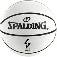 Spalding Euroleague 2025 Asvel Basketbal Bal Zilver 7