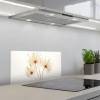 KitchenYeah Spatscherm 60x30 cm - Zelfklevende achterwand Zonlicht - Paardenbloemen - Natuur - Botanisch - Keuken muurbeschermer - Spatwand fornuis