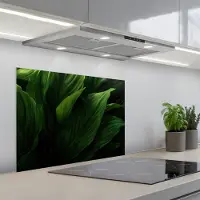 KitchenYeah Spatscherm 70x55 cm - Zelfklevende achterwand Bladeren - Schaduw - Groen - Textuur - Keuken muurbeschermer - Spatwand fornuis
