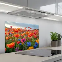 KitchenYeah Spatscherm 70x55 cm - Zelfklevende achterwand Bloemen - Klaprozen - Kleurrijk - Natuur - Keuken muurbeschermer - Spatwand fornuis
