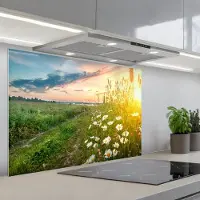 KitchenYeah Spatscherm 80x55 cm - Zelfklevende achterwand Bloemen - Madelief - Natuur - Zon - Horizon - Keuken muurbeschermer - Spatwand fornuis