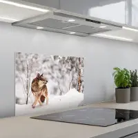 KitchenYeah Spatscherm 60x45 cm - Zelfklevende achterwand Wolf - Winter - Sneeuw - Natuur - Dieren - Keuken muurbeschermer - Spatwand fornuis