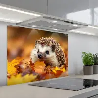 KitchenYeah Spatscherm 80x60 cm - Zelfklevende achterwand Egel - Bos - Herfstbladeren - Herfst - Bosdieren - Natuur - Keuken muurbeschermer - Spatwand fornuis
