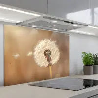KitchenYeah Spatscherm 80x55 cm - Zelfklevende achterwand Paardenbloem - Beige - Natuur - Bloem - Keuken muurbeschermer - Spatwand fornuis