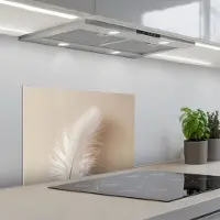 KitchenYeah Spatscherm 60x40 cm - Zelfklevende achterwand Veer - Minimalistisch - Roze - Keuken muurbeschermer - Spatwand fornuis