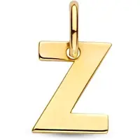 The Jewelry Collection Letter Hanger in massief 14 Karaat Goud