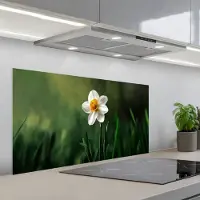 KitchenYeah Spatscherm 100x50 cm - Zelfklevende achterwand Narcis - Bloem - Wit - Grassprieten - Keuken muurbeschermer - Spatwand fornuis
