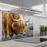 KitchenYeah Spatscherm 80x55 cm - Zelfklevende achterwand Schotse Hooglander - Dieren - Bruin - Koe - Zwart - Wit - Natuur - Keuken muurbeschermer - Spatwand fornuis