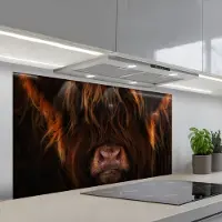 KitchenYeah Spatscherm 120x60 cm - Zelfklevende achterwand Schotse Hooglander - Koe - Zwart - Portret - Keuken muurbeschermer - Spatwand fornuis