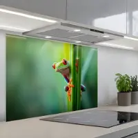 KitchenYeah Spatscherm 80x55 cm - Zelfklevende achterwand Groene kikker - Nieuwsgierig - Gras - Keuken muurbeschermer - Spatwand fornuis
