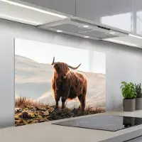 KitchenYeah Spatscherm 100x65 cm - Zelfklevende achterwand Schotse hooglander - Dieren - Landelijk - Landschap - Koe - Natuur - Keuken muurbeschermer - Spatwand fornuis