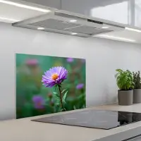 KitchenYeah Spatscherm 60x45 cm - Zelfklevende achterwand Aster - Paars - Bloem - Blaadjes - Keuken muurbeschermer - Spatwand fornuis