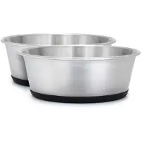 Lionto set van 2 voerbak, roestvrij staal, antislip & vaatwasmachinebestendig, 1900 ml