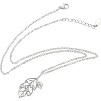 NAEMI Ketting zilver