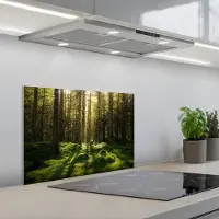 KitchenYeah Spatscherm 60x40 cm - Zelfklevende achterwand Bomen - Bos - Mos - Planten - Zon - Natuur - Keuken muurbeschermer - Spatwand fornuis
