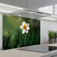 KitchenYeah Spatscherm 80x55 cm - Zelfklevende achterwand Narcis - Bloem - Wit - Grassprieten - Keuken muurbeschermer - Spatwand fornuis