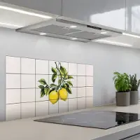 KitchenYeah Spatscherm 80x40 cm - Zelfklevende achterwand Citroen - Decoratie - Keramiek - Takken - Keuken muurbeschermer - Spatwand fornuis