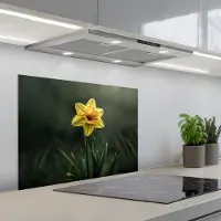 KitchenYeah Spatscherm 70x55 cm - Zelfklevende achterwand Bloem - Narcis - Gras - Geel - Keuken muurbeschermer - Spatwand fornuis