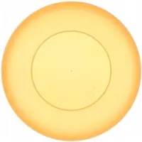 Epewex Oranje Platte Plastic Dinerbord 22cm - Duurzaam en Vaatwasmachinebestendig