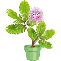 Kosmos Mimosa Garden - Experimenteerset - Kweek Je Eigen Gevoelige Mimosa Planten - Mini Kas Inclusief Zaden - Ontdek Hoe Planten Reageren op Aanraking - STEM Speelgoed - Vanaf 6 Jaar