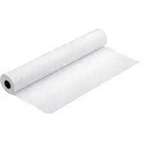 Epson S041746 Singleweight Matte Paper Roll 432 mm (17 inch) x 40 m (120 g/m²)