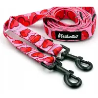 Psiakrew Lollipops Verstelbare Hondensnoer 2cm x 220cm