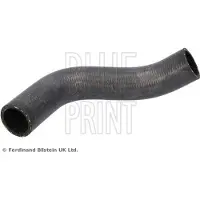 Blue Print ADBP930020 Radiateurslang