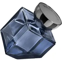 Jesus Del Pozo My World Vapo 125ml Eau De Parfum