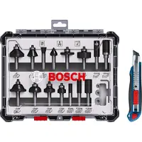 Bosch Freeskop 13 Stukken