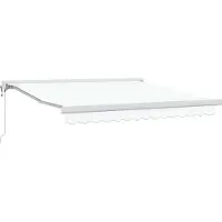 vidaXL Uitschuifbare luifel Wit 300 x 250 x 165 cm Stof en Metaal